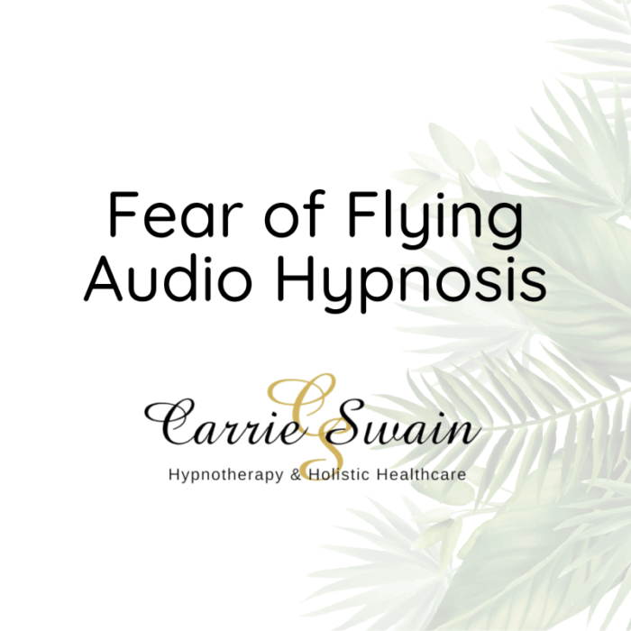 Fear of Flying Audio Hypnosis text on image
